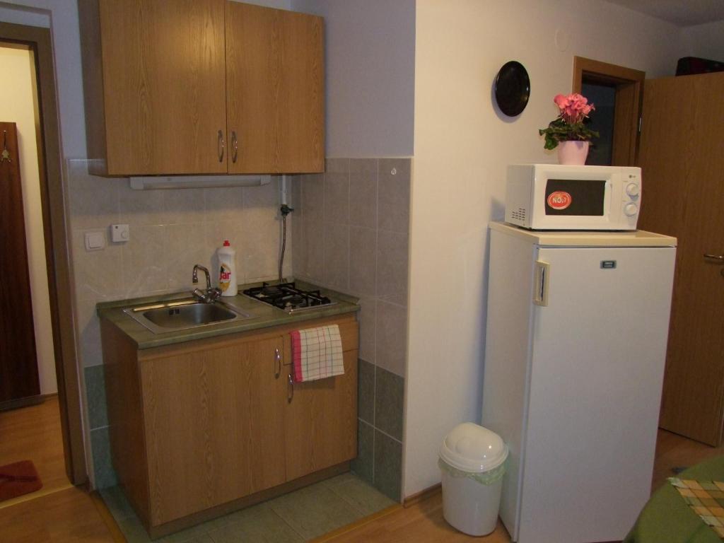 Rajna Apartmanhaz Bogács Cameră foto